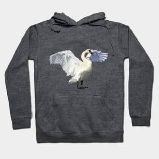 swan Hoodie